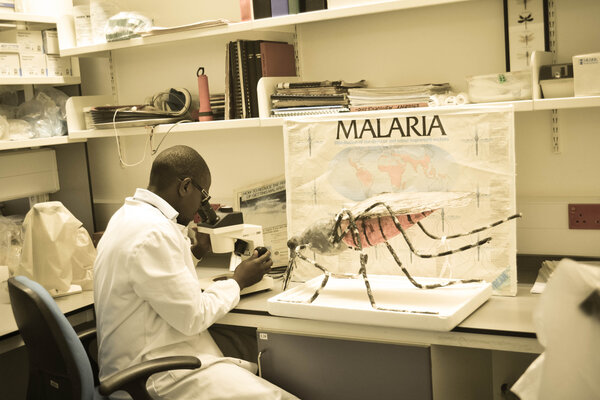 Wieso ist die Malariabekämpfung immer noch so wichtig