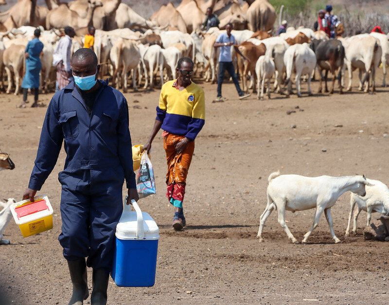 One Health is a ‘One World’ Agenda, Even as Negotiators Wrangle Over Inclusion in WHO Pandemic Accord