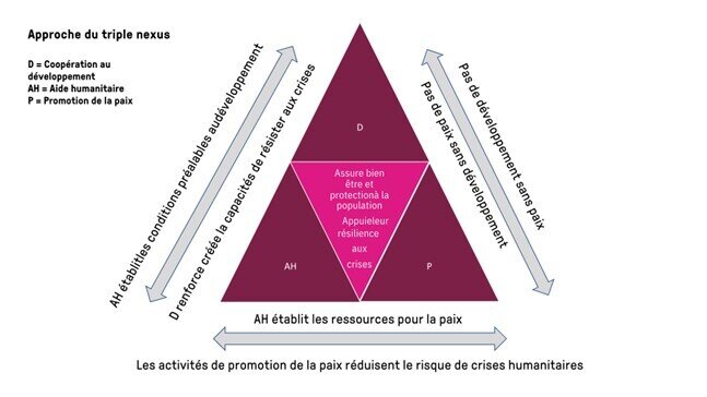 « Schéma traduit et adapté de https://reliefweb.int/sites/reliefweb.int/files/resources/Tana_Nexus_Brief.pdf et diplofoundation “Nexus: Breaking the silos between humanitarian, development, and peace activities », Dominique Hempel Rodas » 