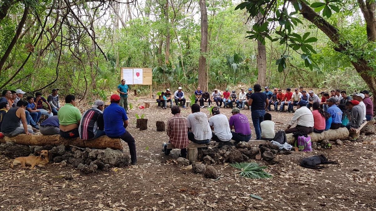 Atelier pour promoteurs/trices de santé communautaire MTM. Photo: © Madre Tierra Mexico