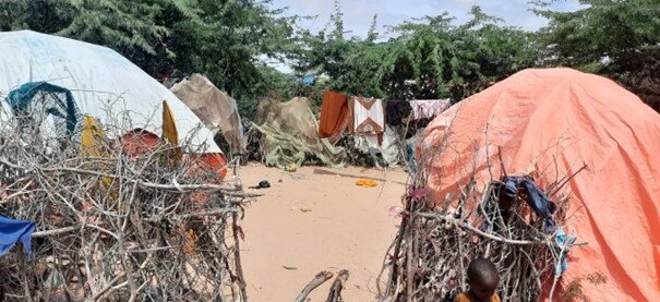 Zur humanitären und politischen Lage in Somalia