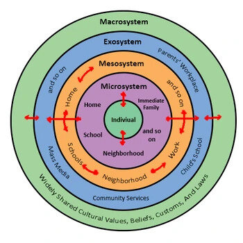 Bronfenbrenner's ecological theory model. Photo: Psychology Wiki (https://psychology.wikia.org/wiki/Bioecological_model)<br>