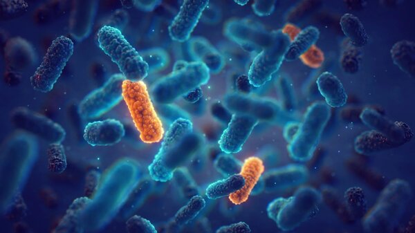 Detecting Antimicrobial Resistance: The Silent Pandemic