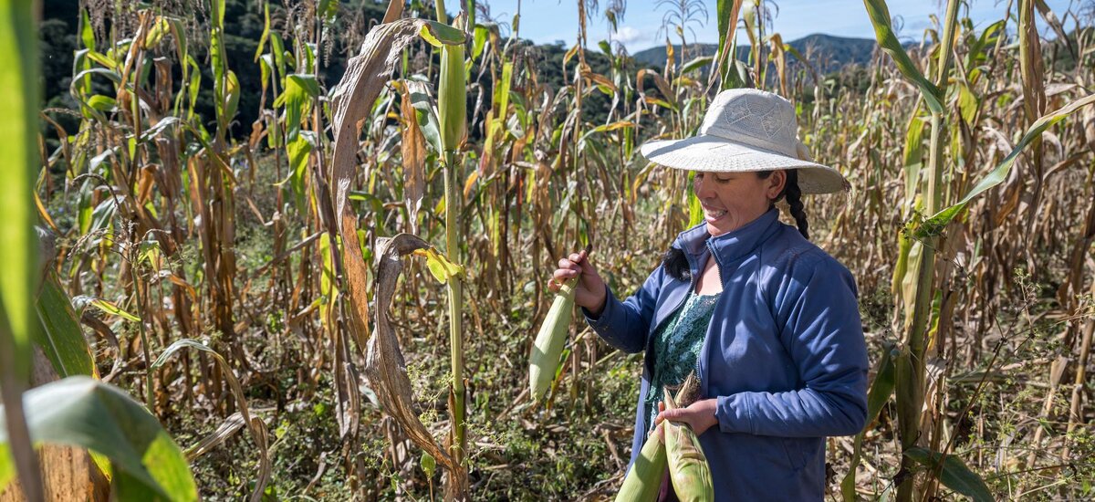 Bolivie: se nourrir sainement à 2020 mètres d'altitude