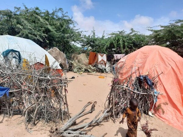 Zur humanitären und politischen Lage in Somalia